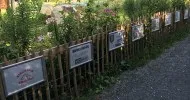 Unterstützer Paradiesgarten