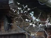 April