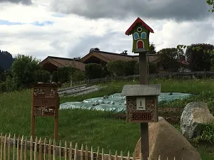 Garten im Entstehen